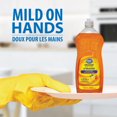 thumbnail image 2 of Great Value Détergent Liquide pour Vaisselle Parfum d'Orange 591ML, 2 of 4