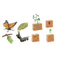 thumbnail image 3 of HILABEE Figurines du Cycle de Vie Jouet Papillon et Plantes de Haricot Cadeau Jouet Scientifique pour Enfants, 3 of 9