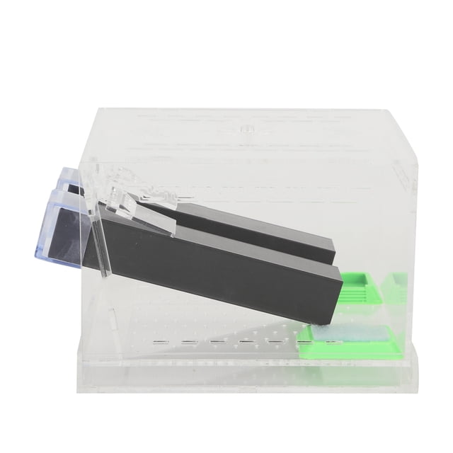 Cricket Keeper Tank Box, With Tubes Acrylic With A Food Feeding Tub Cricket Keeper For Observation Of Breeding L
