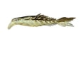 thumbnail image 1 of Mino Fish Road Ya Bicolor Multi Fish Soft Bait Multicolor Multi Size Scissors Fish Tail False Bait Soft Bait, 1 of 2