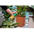 thumbnail image 3 of Miracle-Gro Indoor Plant Food 1-1-1   236mL, 3 of 6