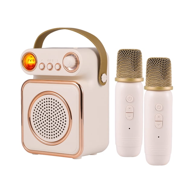 Mini Karaoke Machine Ensemble de Microphone et Haut-Parleur Sans Fil avec 2 Micros, LED Rechargeable, Couleur Nuit
