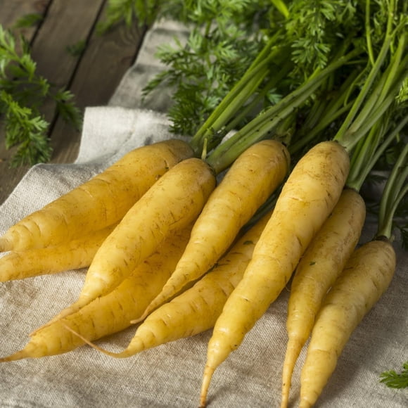 HIGHGW Solar Yellow Carrot Seeds – 200 Count, Heirloom Vegetable Seeds for Planting, Sweet Colorful Carrots for Home Garden & Allotments