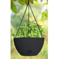 thumbnail image 3 of Jardinière suspendue auto-arrosante Misco 12 pouces NOIR, 3 of 5