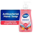 thumbnail image 1 of Dial Antibacterial Liquid Hand Soap, Pomegranate Tangerine Scent, 325ml, Dermatologist Tested, pH Balanced, Free from Silicones, Parabens, Phthalates, SLES/SLS, 1 of 9