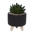 thumbnail image 1 of hometrends Cozby Faux Succulent in Black Pot, 1 of 5