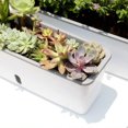 thumbnail image 3 of Self-Watering Rectangular Plant Pot - Indoor/Outdoor Flower & Vegetable Planter with Drainage Holes, Durable Gardening Container, 3 of 6