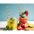 thumbnail image 2 of CTIGERS Cute Bamboo Pattern Paper Straws Biodegradable Drinking Straws Box of 100, 2 of 8