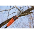 thumbnail image 2 of BLACK+DECKER 10-inch 6.5-Amp Corded Electric Pole Saw, 2 of 6