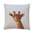 thumbnail image 2 of Ahgly Company Animals Girraffe Coussin d'Extérieur, 18 Pouces par 18 Pouces, 2 of 6