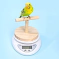 thumbnail image 2 of Hearth & Gear Bird Weight Scale Parrot Training Animal Scale With | High Accuracy Convenient Digital Weighing Tool For Weight Changing Birds Parrot Parrot on Shoulder Prop Swings for Small Birds Cage, 2 of 4