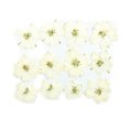 thumbnail image 1 of Pressed Flowers Home Arts Décoratifs Signets Autocollants Sûrs Colorés Multiples Simulation Décor Cadeaux Parfaits Fournitures de Fête Blanc, 1 of 6