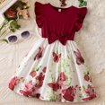 thumbnail image 1 of Robes pour Tout-Petites Fille Robe Décontractée pour Filles Robe d'Anniversaire pour Filles Robes de Fête pour Filles Robes pour Tout-Petites 2-3 Ans, 1 of 8