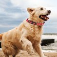 thumbnail image 4 of LSLJS Reflective Dog Collar and Leash Set with Safety Locking Buckle Adjustable Nylon Pet Collars for Medium Dogs, Home Accessories, 4 of 6