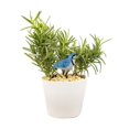 thumbnail image 2 of Becaristey Resin Birds Soil Moisture Meter Plant Potted Tester Sensor Testing Instrument Outdoor Garden Farm Watering Reminder Blue, 2 of 6