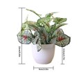 thumbnail image 3 of serony Artificial Potted Plant Leaf Simulation Leaves Home Office Desktop Greenery Decoration, Plant Type 16, 3 of 7