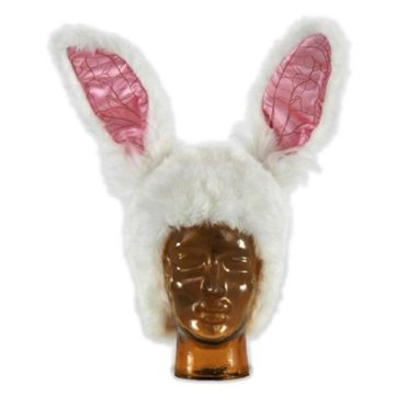 Costumes For All Occasions ELLA2516 Disney Alice White Rabbit