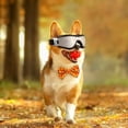thumbnail image 3 of Stylish Pet Sunglasses Protective Goggles With Adjustable Head Strap For Shielding During Outdoor Adventures And Safe Driving Experiences, 3 of 5