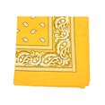 thumbnail image 1 of Pack of 20 XL Non Fading Paisley Polyester Bandanas 27 x 27 In - Bulk Wholesale, 1 of 2