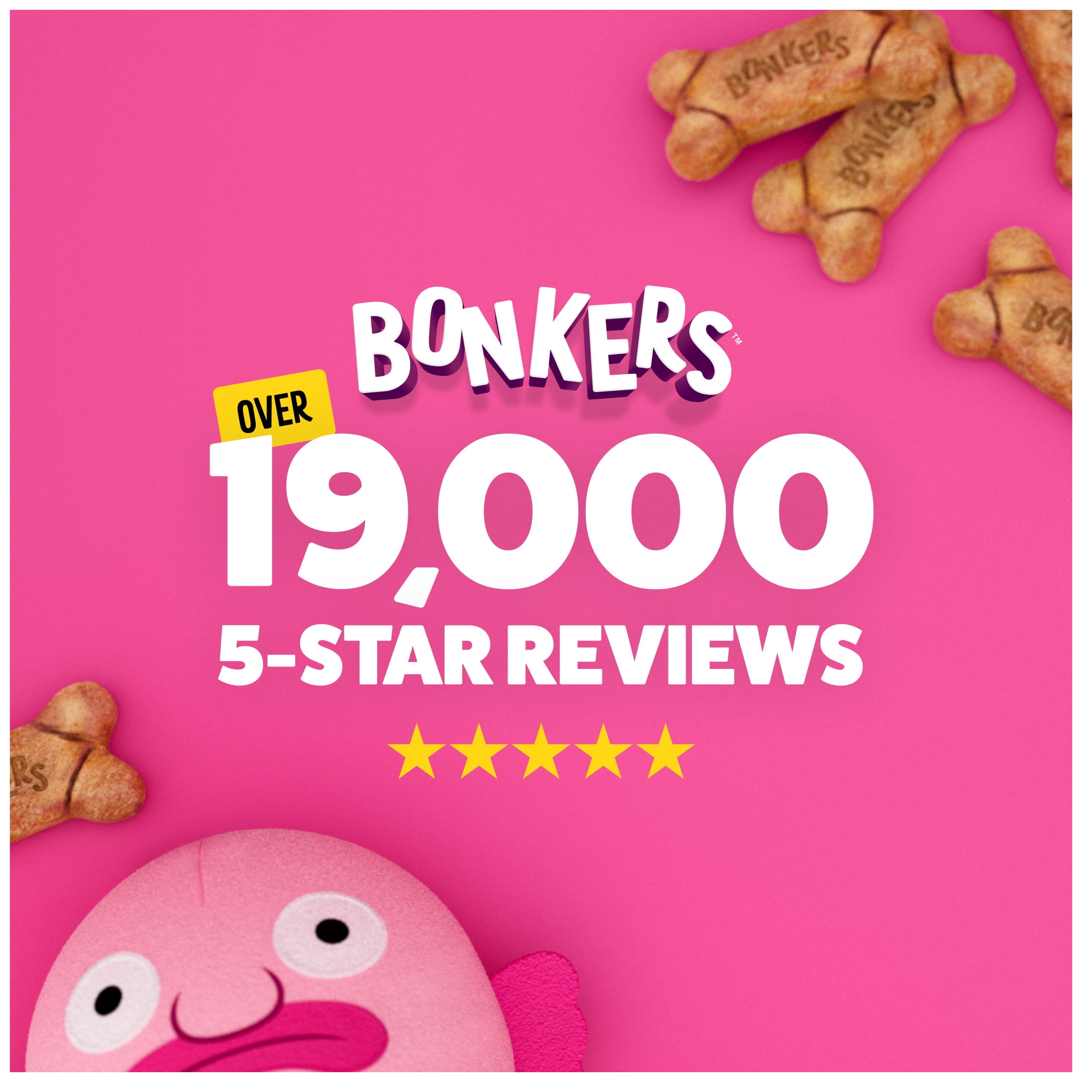 BONKERS Surprise Biscuits pour chien à saveur poulet avec jouet surprise
