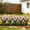 5Pcs mini garden fence for flower beds Under $5 a2, variant on 5Pcs Mini Garden Fence For Flower Beds, RRJ Garden Fence Mini Fence for Yard, Plastic Decorative Border Fence, 29x15cm Small Fence for Flower Bed, Outdoor Lawn Edging, Indoor Plant Pot Protector,