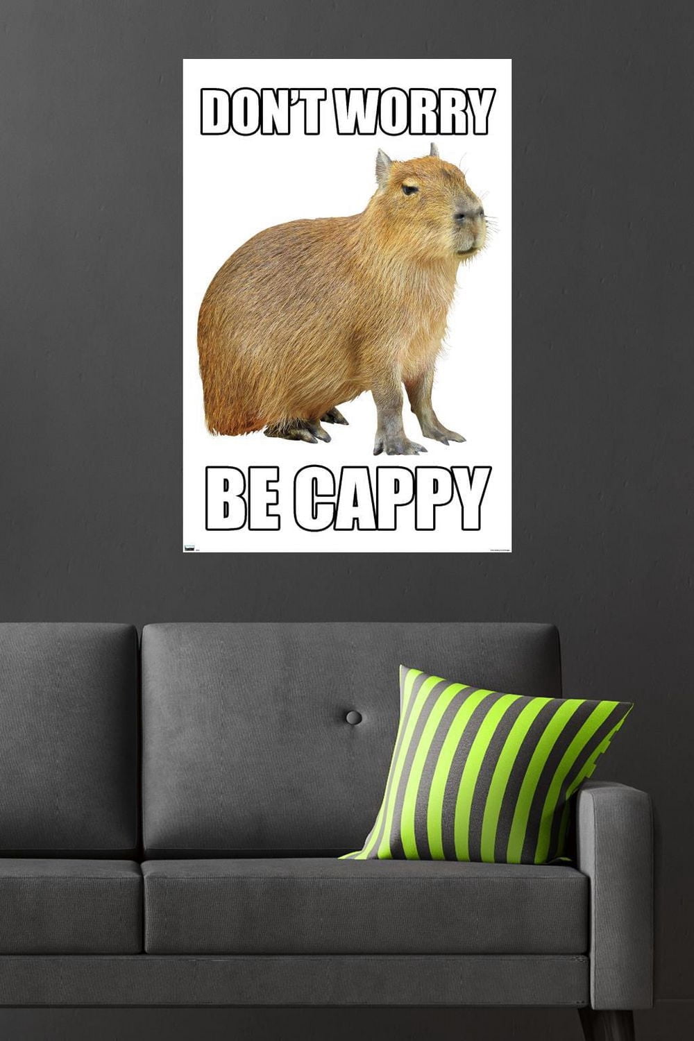 Capybara – Soyez Capybara