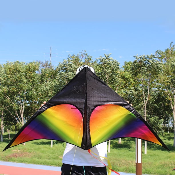 Cerf-volant papillon violet et bleu ciel - Boutique Papillon