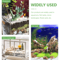 thumbnail image 3 of EIMELI 20 Pcs Pearl Aquarium Plant Live Aquatic Landscaping, 3 of 8