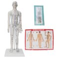 thumbnail image 3 of ANGGREK Modèle d'Acupuncture pour Femmes, Modèle d'Acupuncture avec Base, Ensemble d'Aiguilles d'Acupuncture, 3 of 8