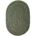 thumbnail image 1 of Rhody Rug Katie Collection, Tapis Ovale Tressé Intérieur-Extérieur, Sauge, 2 x 4 Pieds, Réversible, Lavage des Mains, 1 of 6