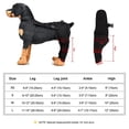 thumbnail image 3 of Adjustable Black L Dog Hind Leg Support Brace - SBR Material Knee & Joint Protector for Arthritis Recovery, Injury Sprain Protection, Wound Licking Prevention, and Active Pet Leg Care - 1 Pair, 3 of 6