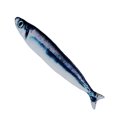 thumbnail image 2 of Electric Moving Fish Pet Toy Realistic Plush Simulation Wagging Fish Pet Kicker Toys Funny Interactive Pets, 2 of 6