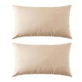 thumbnail image 1 of Outdoor Lumbar Cushion 12x20in - Aqua (2 Pack), 1 of 5