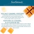 thumbnail image 4 of ScentSationals Scented Wax Cubes Value Pack - Sea Salt Caramel Popcorn, 4 of 4