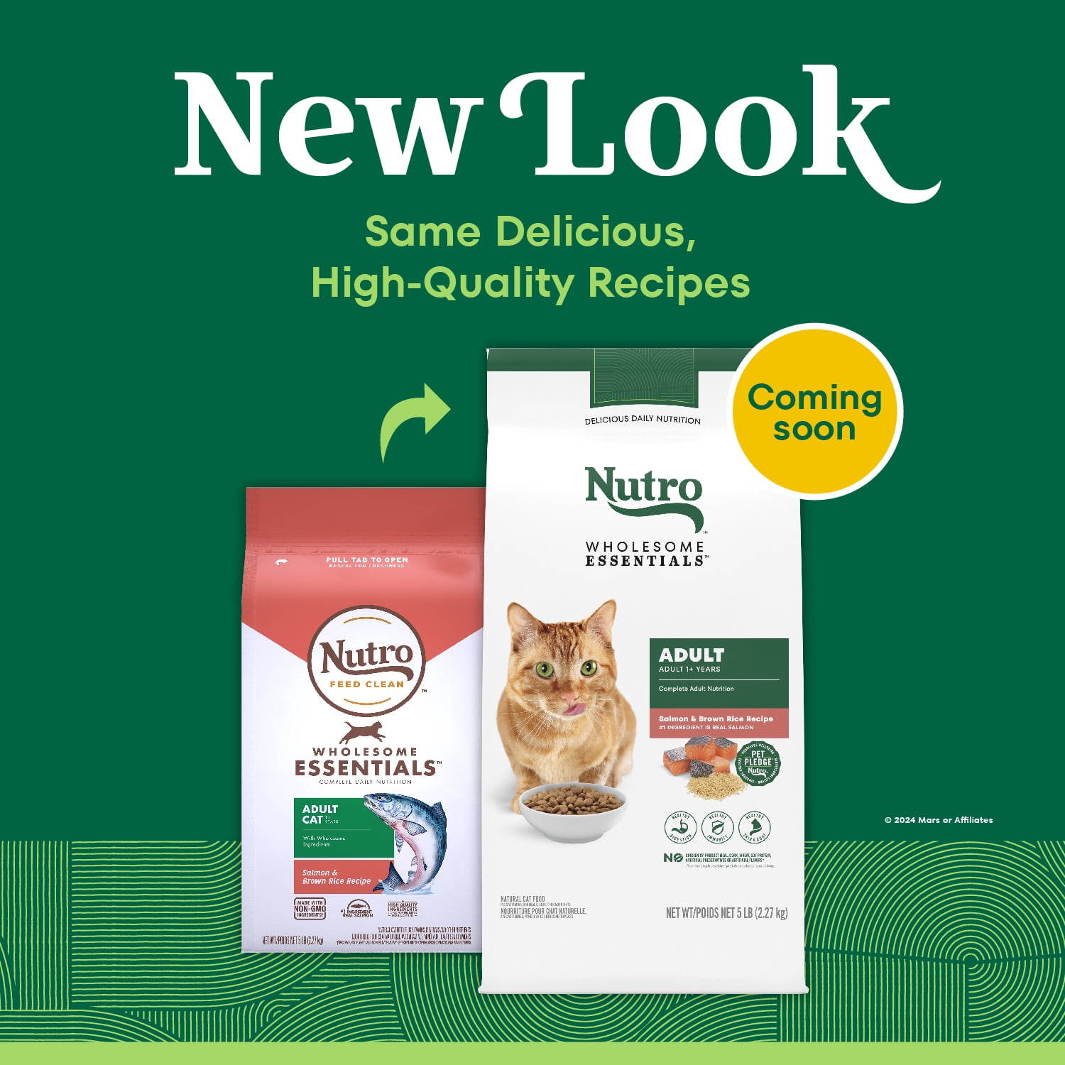 NUTRO WHOLESOME ESSENTIALS Adult Dry Cat Food Salmon & Brown Rice Recipe, 2.27kg Bag