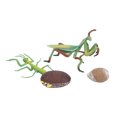 thumbnail image 4 of Insects Toy, Growth Cycle Insects Toy, Environmental Non-Toxic Safe Harmless Odorless Poatable for Education Playing Children Teaching Activities, 4 of 7
