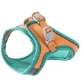 thumbnail image 2 of TIMIFIS Cat Harness Cat Belt and Leash Set Walking Adjustable Puppy Mesh Vest S/XL Cat Harness And Leash - Fall, 2 of 6