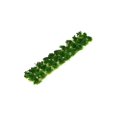 thumbnail image 1 of serony Tuftes en Grappe d'Herbe Miniature Paysage Statique Modèle Jungle Vert, 1 of 9