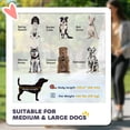 thumbnail image 3 of PawHut One-Click Foldable Pet Stroller With Shock Absorber, Black, 3 of 10
