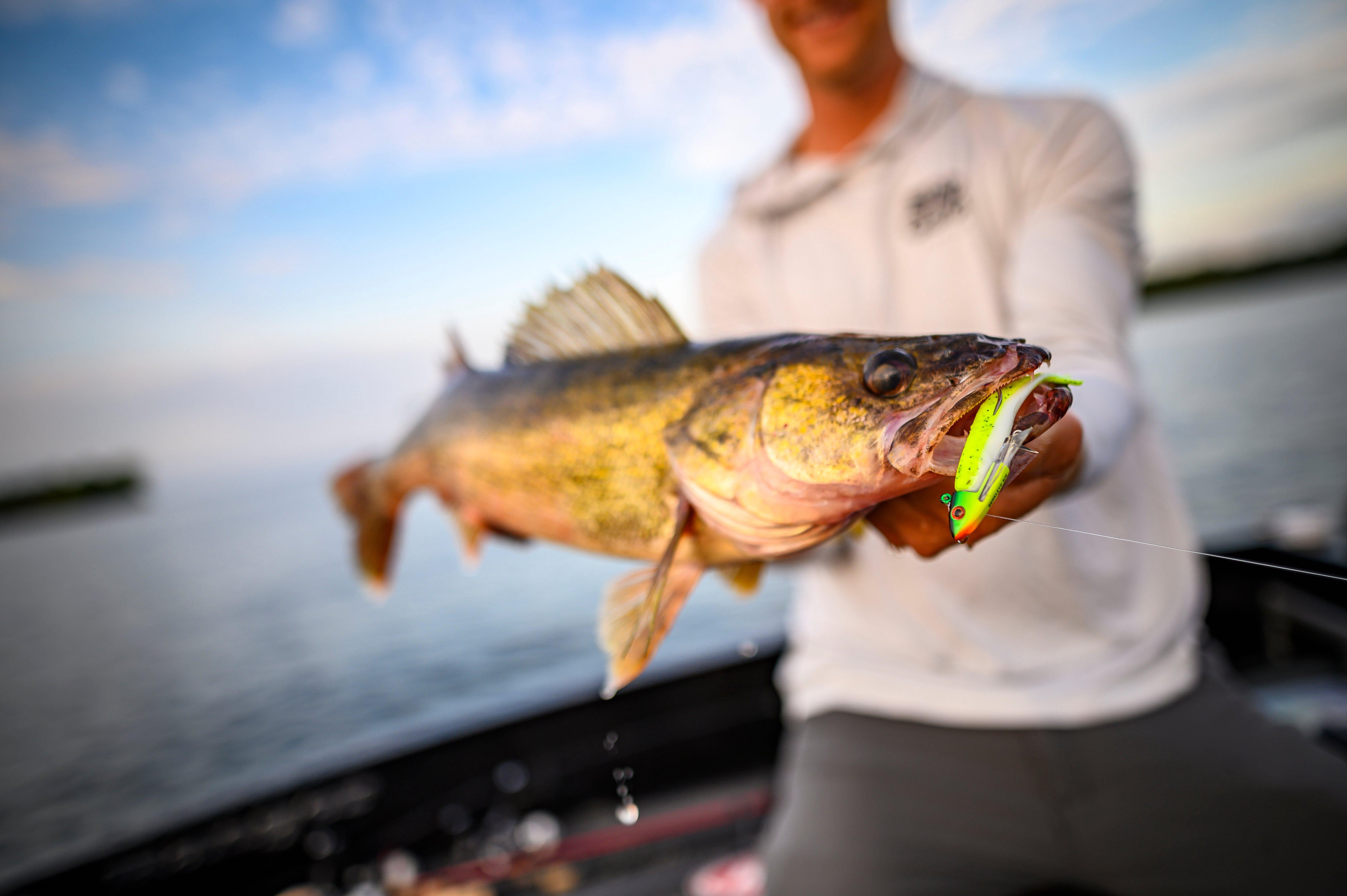 Berkley Gulp Minnow