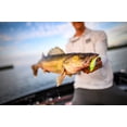 thumbnail image 4 of Berkley Gulp Minnow, 4 of 8