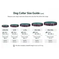 thumbnail image 4 of Handmade Genuine Leather Dog Collar – Red with Black Inner Liner, Adjustable Buckle. Buddies Collars, 4 of 5