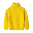 thumbnail image 1 of Dealovy Toddler Baby Sweaters Solid Color Pullover Basic Top Kids Fall High Neck Long Sleeve Cotton Blouses, 1 of 3