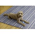thumbnail image 4 of Wallen 5' x 7' Washable Area Rug, Ivory and Blue, 4 of 8