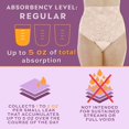 thumbnail image 4 of Wearever Women's Lovely Lace Incontinence Underwear, Regular Absorbency Bladder Control Panties, Reusable 3-Pack, 4 of 11