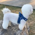 thumbnail image 2 of Pet Chest Harness Reflective And Breathable Dog Leash Easy Control For Small Dog XS S M L XL, 2 of 5