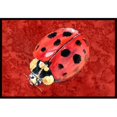 thumbnail image 1 of Carolines Treasures 8870JMAT Paillasson Intérieur Ou Extérieur 24 x 36 Po. Lady Bug sur Fond Rouge, 1 of 4