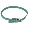 thumbnail image 1 of Dogline L1004-23 16-19 L x 0,38 Po L. Collier Rond en Cuir, Sarcelle, 1 of 1