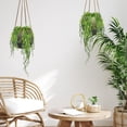 thumbnail image 3 of Danson Decor, 26'' Artificial Tea Leaf Bushvine, 3 of 3