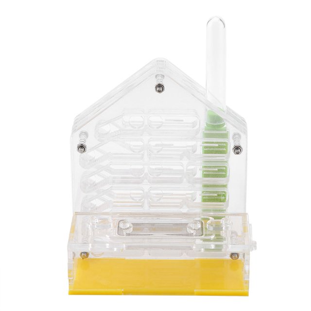 Fourmi Acrylique Nid Villa Ferme Maison Formicarium pour l'Alimentation Fourmi